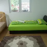 Kuca Delić Tatil Evi *