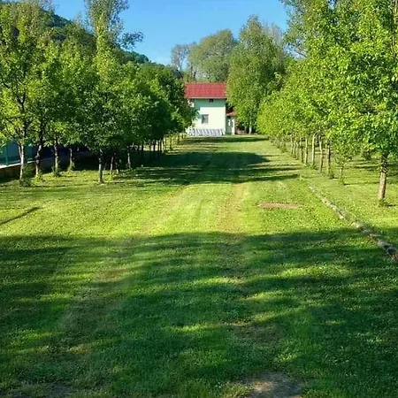 Holiday home Kuca Delic