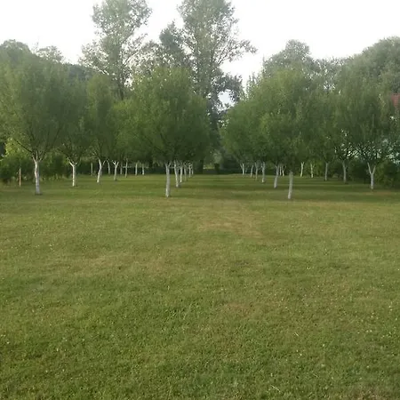 Kuca Delic Holiday home Racic